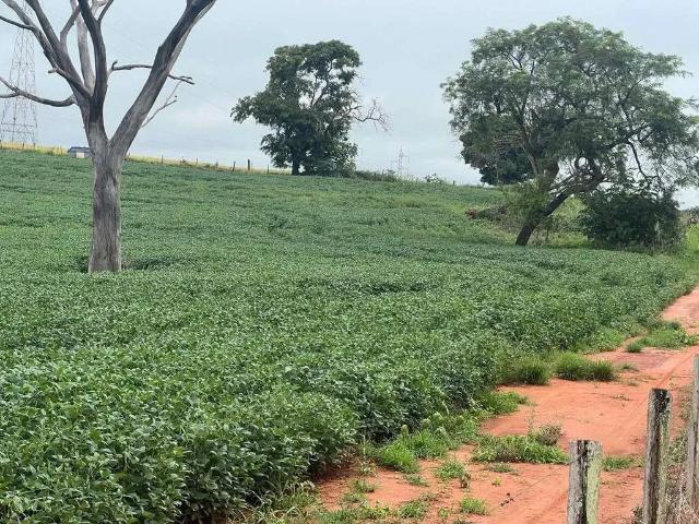 Sítio / Chácara para Venda em Monte Alegre de Minas/MG Zona Rural 1 Quartos