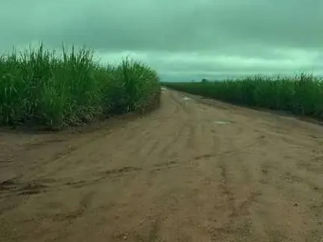 Sítio / Chácara para Venda em Monte Alegre de Minas/MG Zona Rural