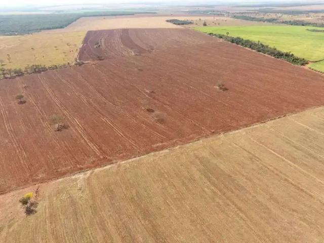 Sítio / Chácara para Venda em Monte Alegre de Minas/MG Zona Rural