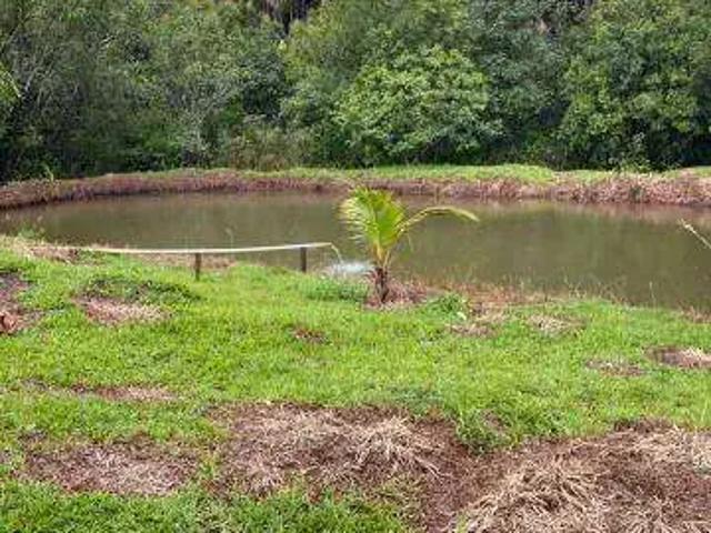 Sítio / Chácara para Venda em Monte Alegre de Minas/MG Zona Rural