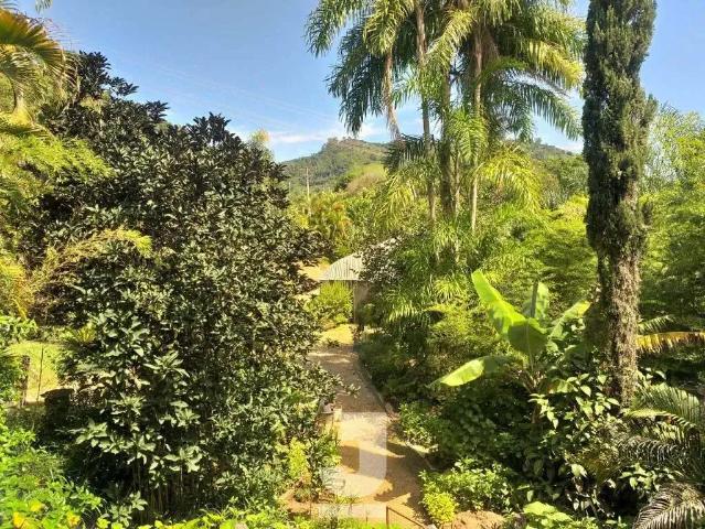 Sítio / Chácara para Venda em Monte Alegre do Sul/SP Lambedor 1 Quartos