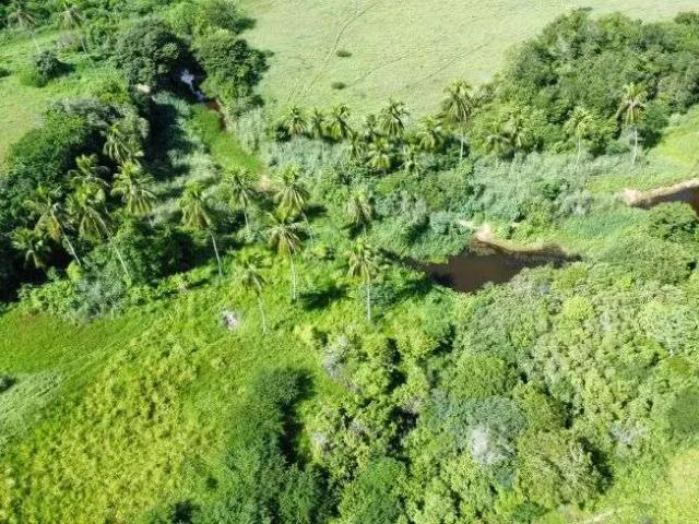 Sítio / Chácara para Venda em Monte Alegre/RN Centro 10 Quartos