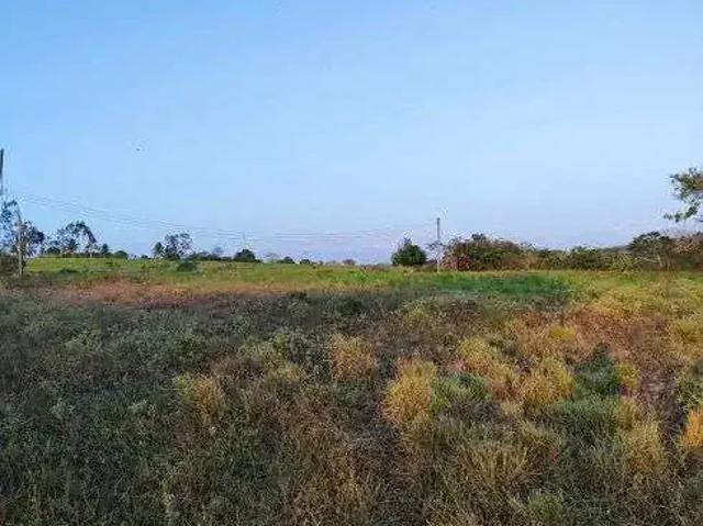 Sítio / Chácara para Venda em Monte Alegre/RN Centro 1 Quartos