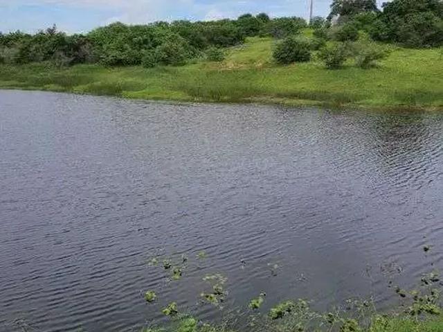 Sítio / Chácara para Venda em Monte Alegre/RN Centro 2 Quartos