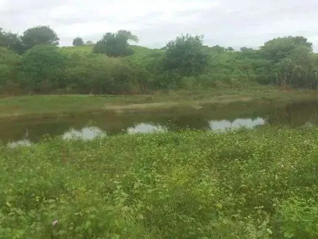 Sítio / Chácara para Venda em Monte Alegre/RN Centro 2 Quartos