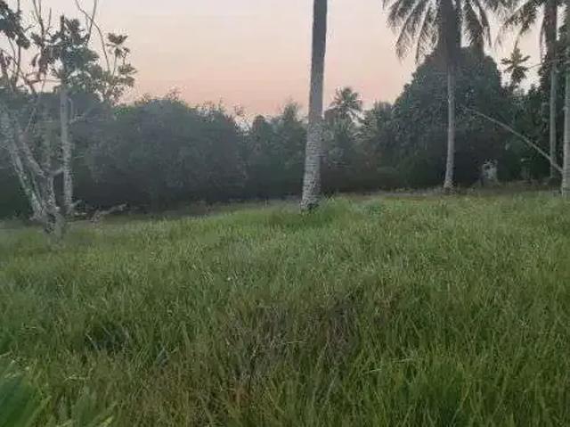 Sítio / Chácara para Venda em Monte Alegre/RN Centro 3 Quartos