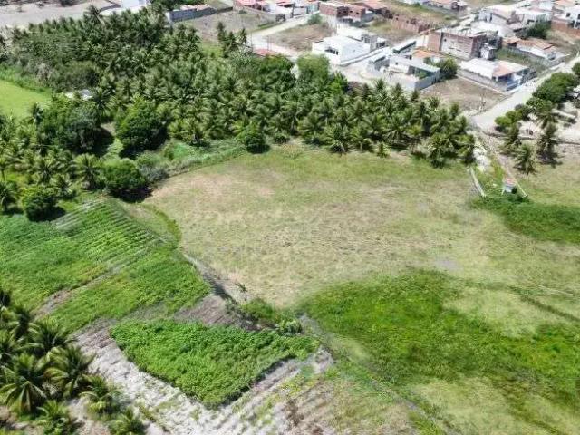 Sítio / Chácara para Venda em Monte Alegre/RN Centro 3 Quartos