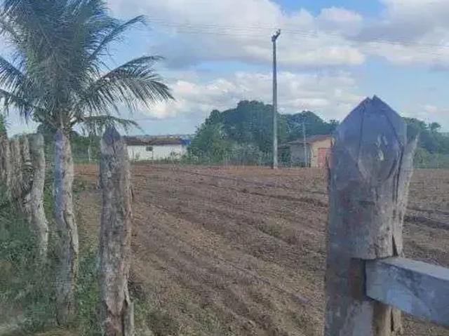 Sítio / Chácara para Venda em Monte Alegre/RN Centro 3 Quartos