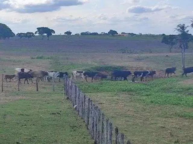 Sítio / Chácara para Venda em Monte Alegre/RN Centro 3 Quartos