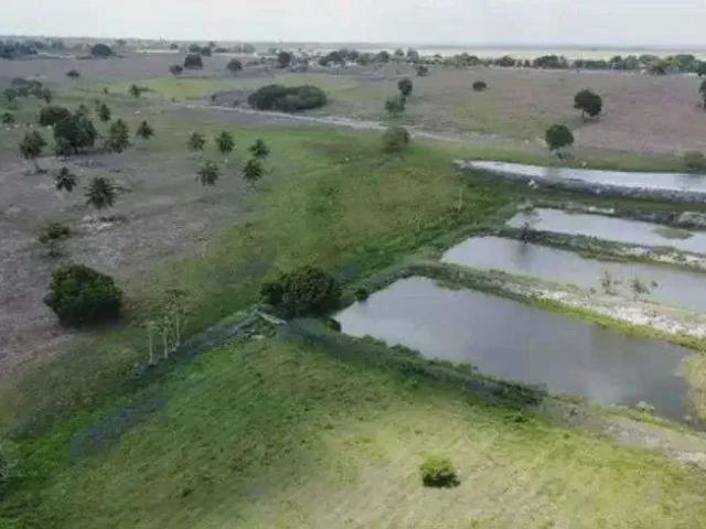 Sítio / Chácara para Venda em Monte Alegre/RN Centro 3 Quartos