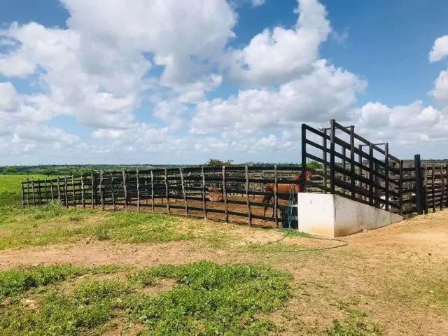 Sítio / Chácara para Venda em Monte Alegre/RN Centro 3 Quartos