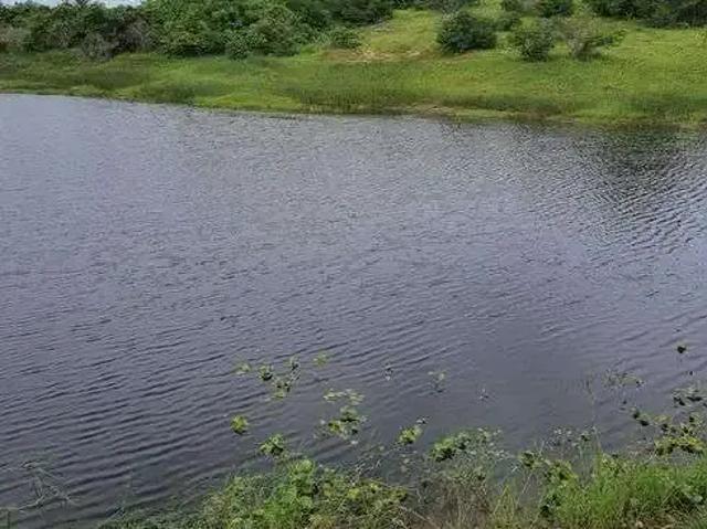 Sítio / Chácara para Venda em Monte Alegre/RN Centro 3 Quartos