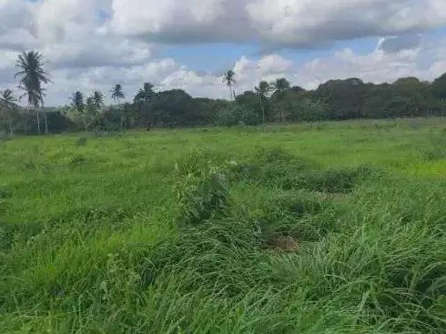 Sítio / Chácara para Venda em Monte Alegre/RN Centro 3 Quartos