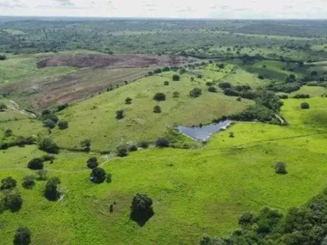 Sítio / Chácara para Venda em Monte Alegre/RN Centro 3 Quartos