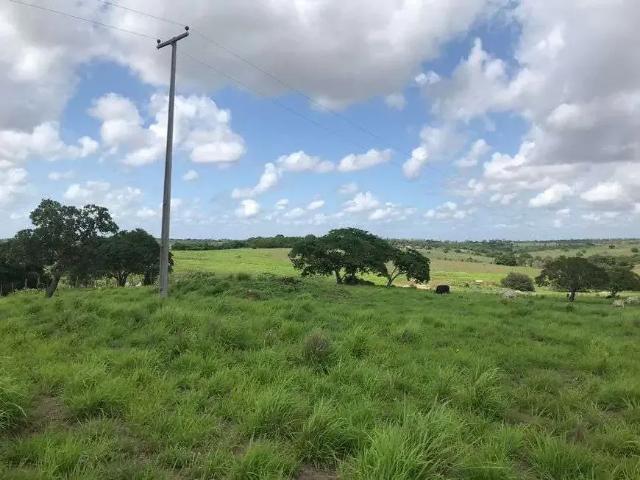 Sítio / Chácara para Venda em Monte Alegre/RN Centro 3 Quartos
