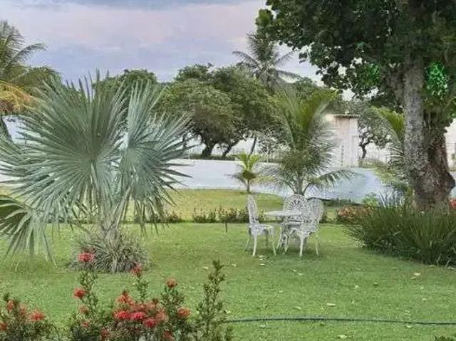 Sítio / Chácara para Venda em Monte Alegre/RN Centro 3 Quartos