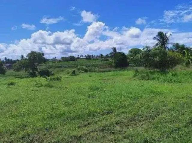 Sítio / Chácara para Venda em Monte Alegre/RN Centro 3 Quartos