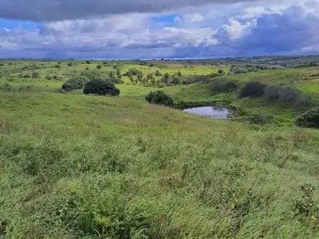 Sítio / Chácara para Venda em Monte Alegre/RN Centro 3 Quartos