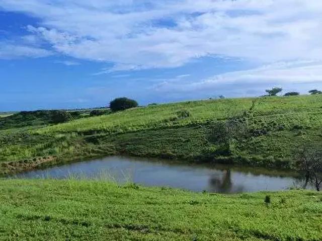 Sítio / Chácara para Venda em Monte Alegre/RN Centro 3 Quartos
