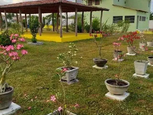 Sítio / Chácara para Venda em Monte Alegre/RN Centro 3 Quartos