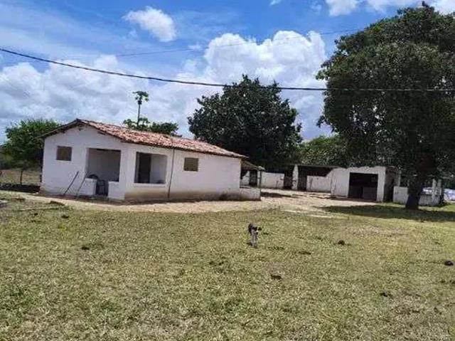 Sítio / Chácara para Venda em Monte Alegre/RN Centro 3 Quartos
