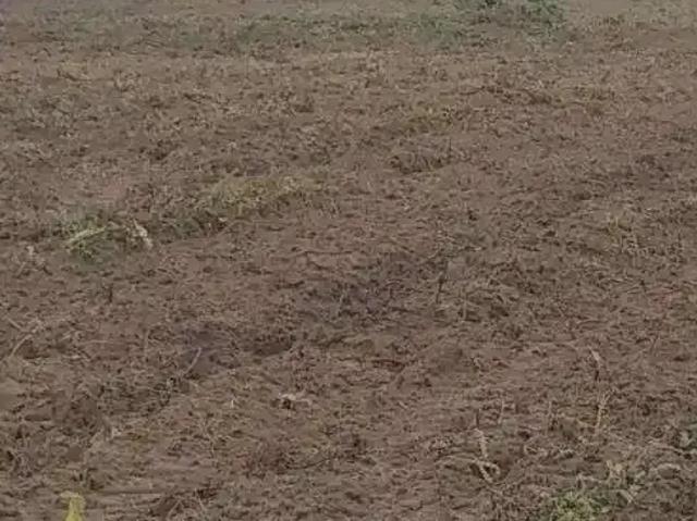 Sítio / Chácara para Venda em Monte Alegre/RN Centro 3 Quartos