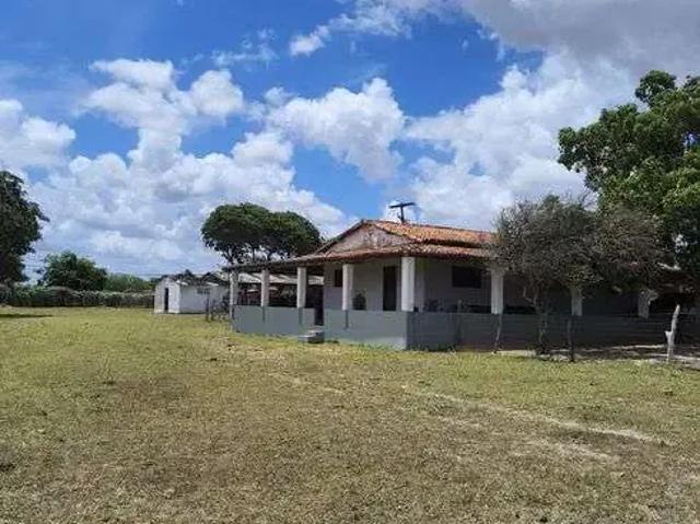 Sítio / Chácara para Venda em Monte Alegre/RN Centro 3 Quartos