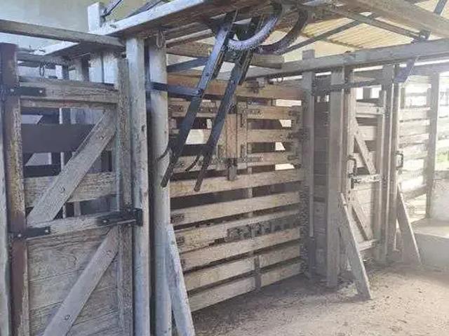 Sítio / Chácara para Venda em Monte Alegre/RN Centro 3 Quartos