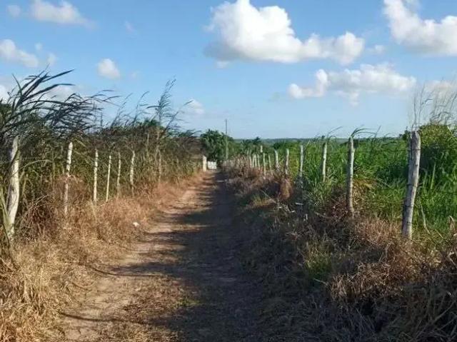Sítio / Chácara para Venda em Monte Alegre/RN Centro 4 Quartos