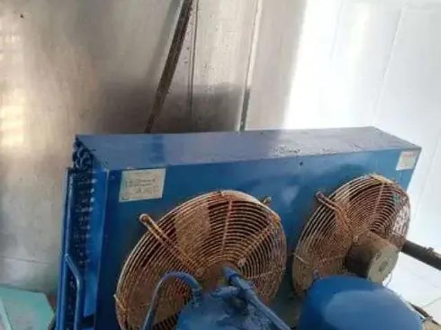 Sítio / Chácara para Venda em Monte Alegre/RN Centro 4 Quartos