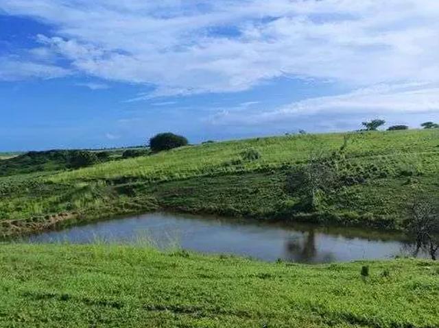 Sítio / Chácara para Venda em Monte Alegre/RN Centro 4 Quartos