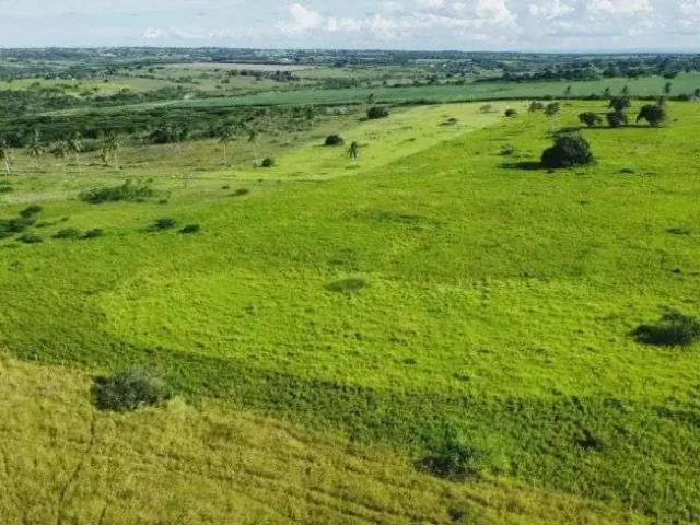 Sítio / Chácara para Venda em Monte Alegre/RN Centro 4 Quartos