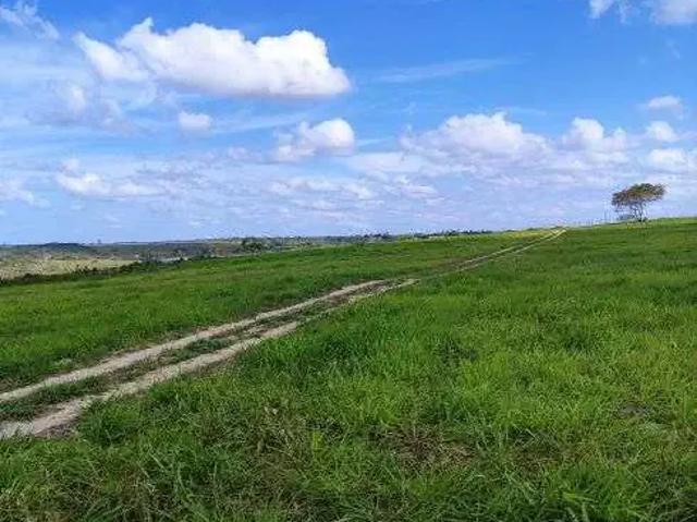 Sítio / Chácara para Venda em Monte Alegre/RN Centro 4 Quartos