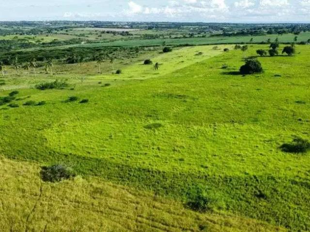 Sítio / Chácara para Venda em Monte Alegre/RN Centro 4 Quartos