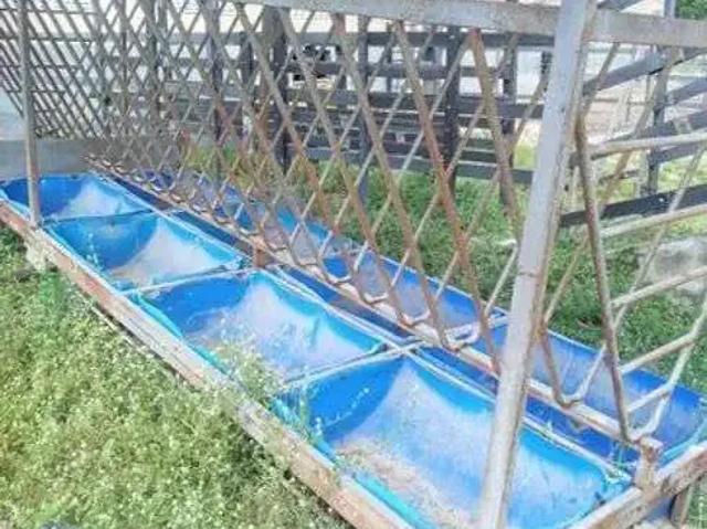 Sítio / Chácara para Venda em Monte Alegre/RN Centro 4 Quartos