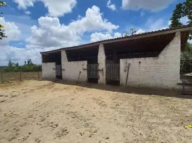 Sítio / Chácara para Venda em Monte Alegre/RN Centro 4 Quartos