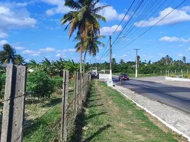 Sítio / Chácara para Venda em Monte Alegre/RN Centro 4 Quartos