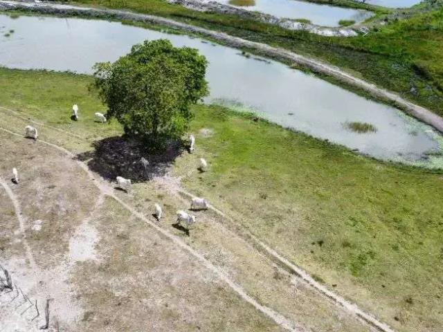 Sítio / Chácara para Venda em Monte Alegre/RN Centro 4 Quartos