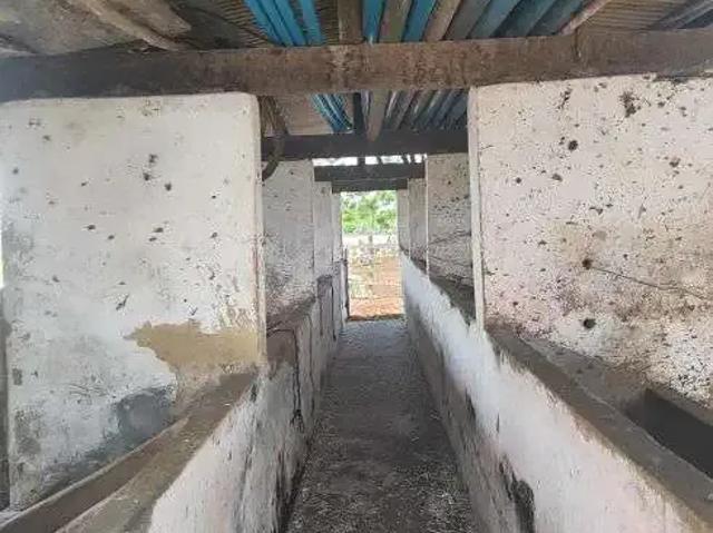 Sítio / Chácara para Venda em Monte Alegre/RN Centro 5 Quartos