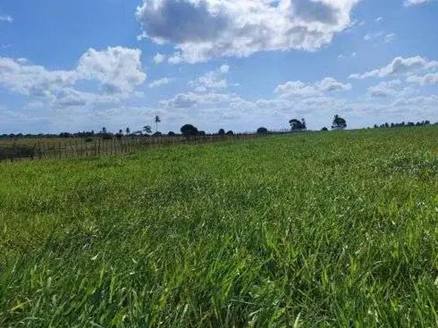 Sítio / Chácara para Venda em Monte Alegre/RN Centro 5 Quartos