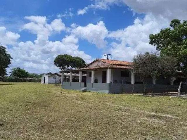Sítio / Chácara para Venda em Monte Alegre/RN Centro 5 Quartos