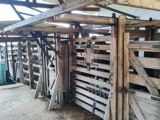 Sítio / Chácara para Venda em Monte Alegre/RN Centro 5 Quartos