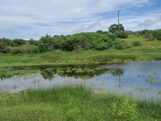 Sítio / Chácara para Venda em Monte Alegre/RN Centro 6 Quartos