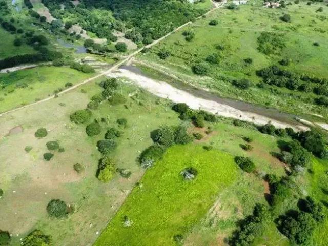 Sítio / Chácara para Venda em Monte Alegre/RN Centro 8 Quartos