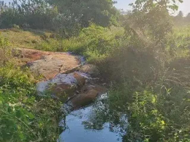 Sítio / Chácara para Venda em Monte Alegre/RN Centro