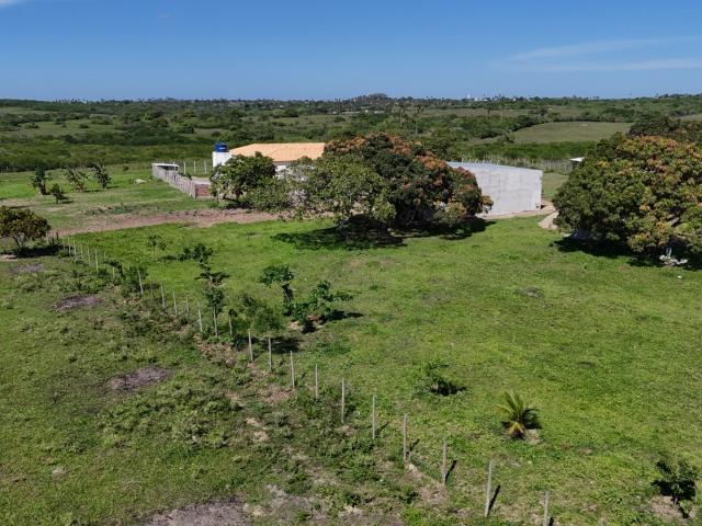 Sítio / Chácara para Venda em Monte Alegre/RN Lagoa do Mato 8 Quartos