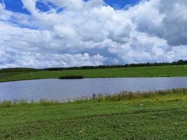 Sítio / Chácara para Venda em Monte Alegre/RN Lagoa do Mato 1 Quartos