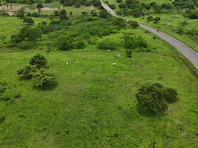 Sítio / Chácara para Venda em Monte Alegre/RN Zona Rural 5 Quartos