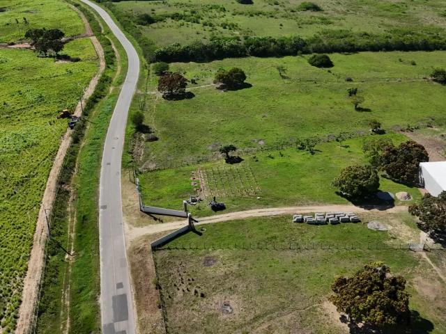Sítio / Chácara para Venda em Monte Alegre/RN Zona Rural 7 Quartos