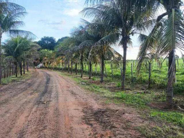 Sítio / Chácara para Venda em Monte Aprazível/SP Zona Rural 4 Quartos